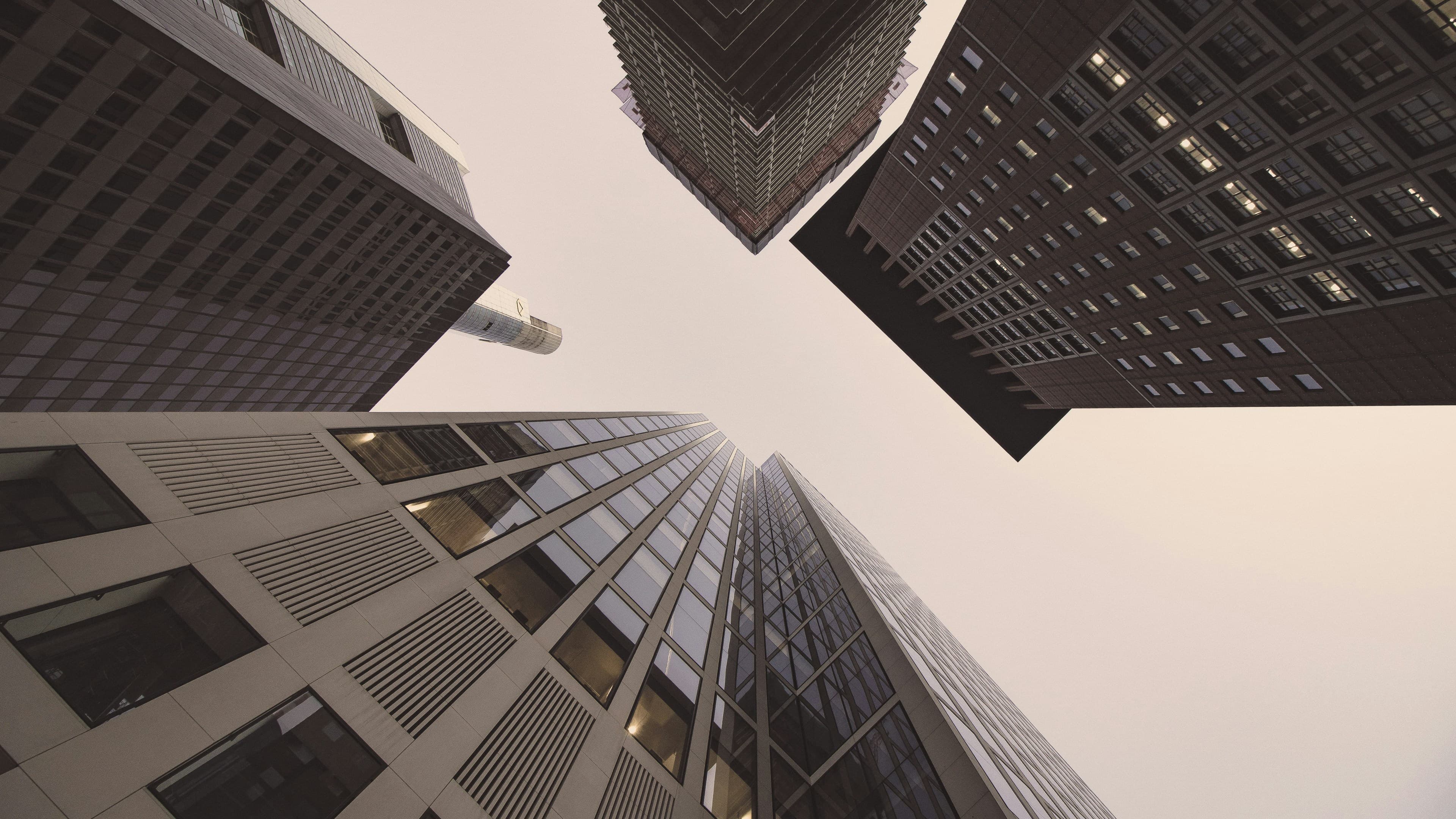 Banner für Sicherheitsdienstleistung Entop